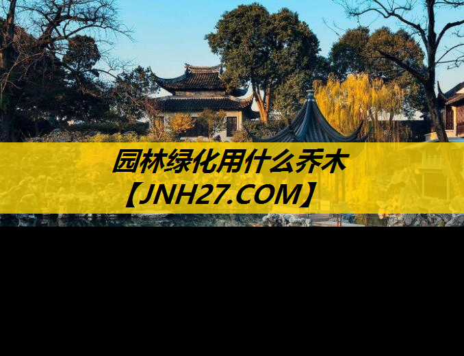 园林绿化用什么乔木