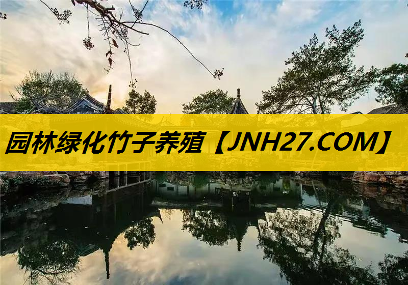 园林绿化竹子养殖