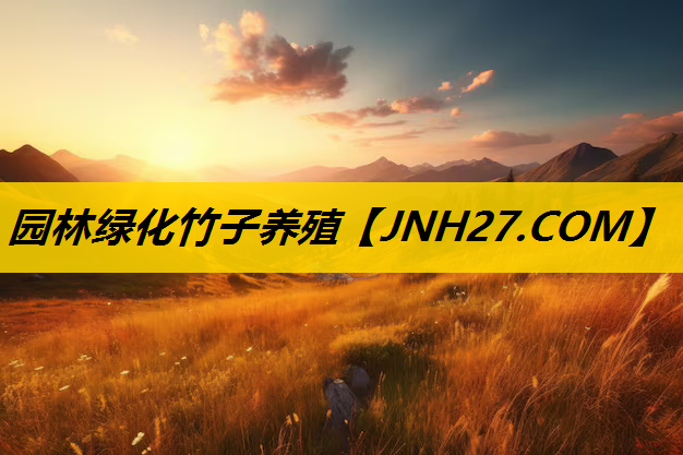 园林绿化竹子养殖