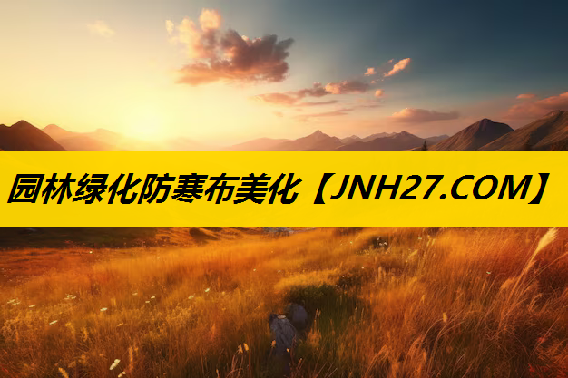 园林绿化防寒布美化
