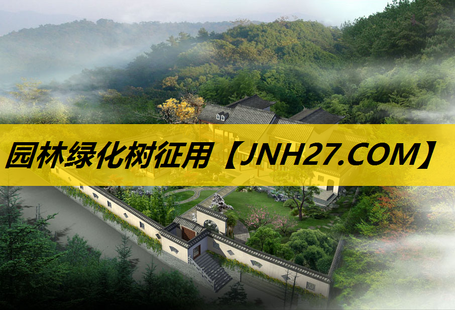 园林绿化树征用