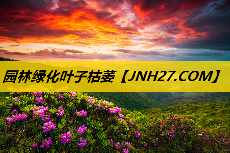 园林绿化叶子枯萎