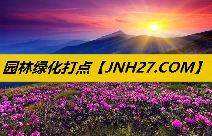 园林绿化打点