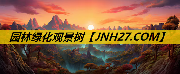 园林绿化观景树