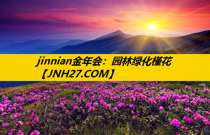 园林绿化槿花