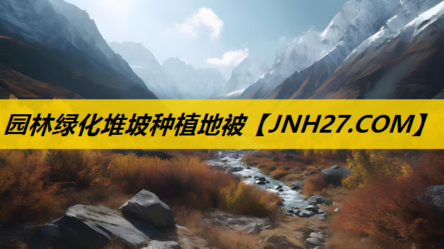 园林绿化堆坡种植地被