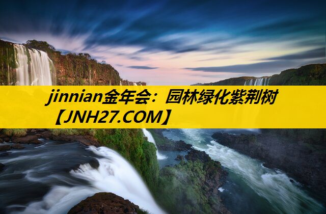 园林绿化紫荆树