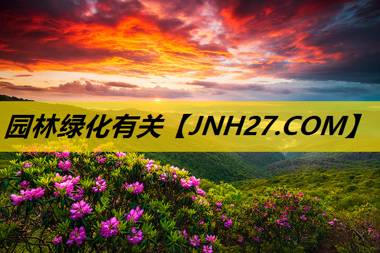 园林绿化有关