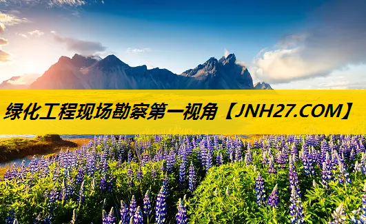 绿化工程现场勘察第一视角