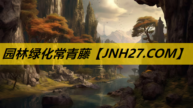 园林绿化常青藤