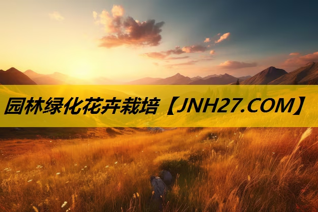 园林绿化花卉栽培