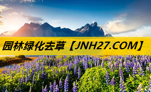 园林绿化去草