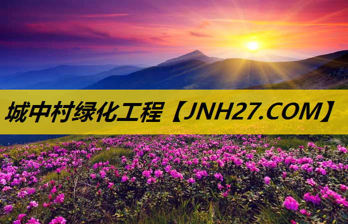 城中村绿化工程