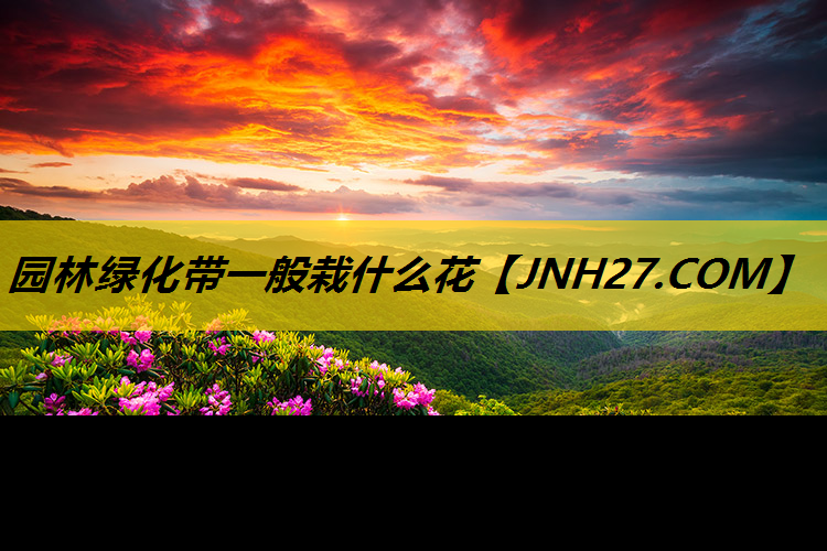 园林绿化带一般栽什么花