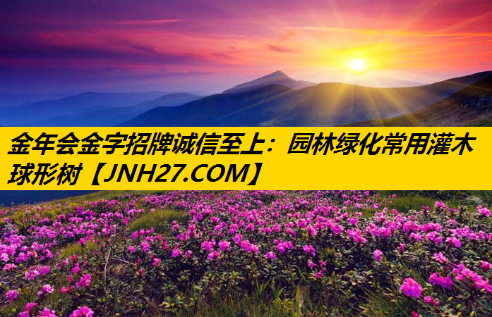 园林绿化常用灌木球形树