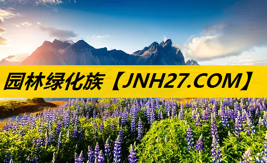 园林绿化族