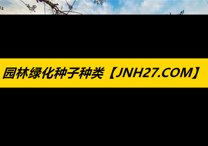 园林绿化种子种类