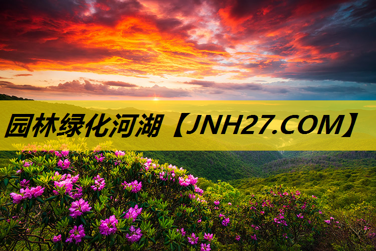 园林绿化河湖