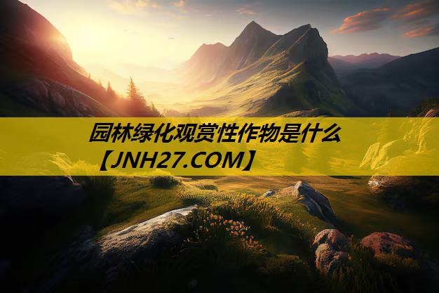 园林绿化观赏性作物是什么