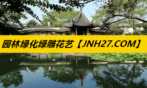 园林绿化绿雕花艺