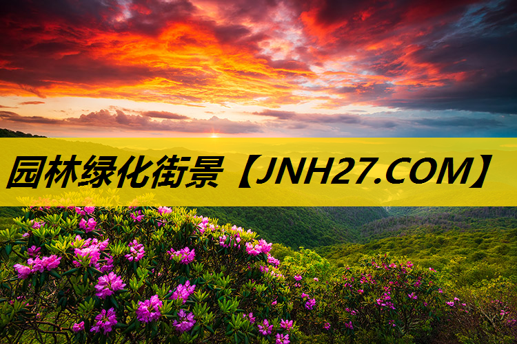 园林绿化街景