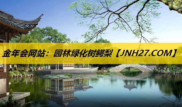 园林绿化树鳄梨