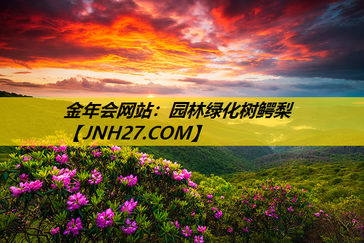 园林绿化树鳄梨