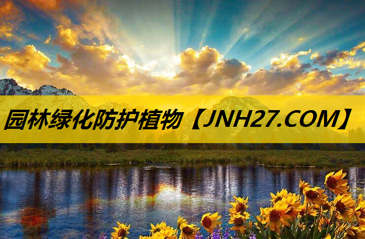 园林绿化防护植物