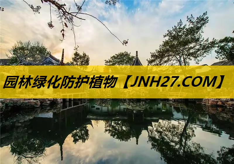 园林绿化防护植物