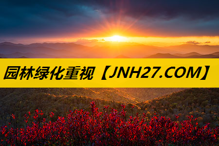 园林绿化重视