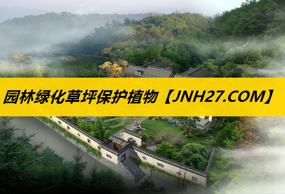 园林绿化草坪保护植物