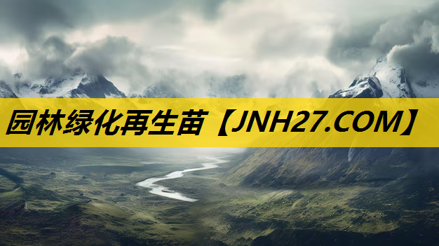 园林绿化再生苗