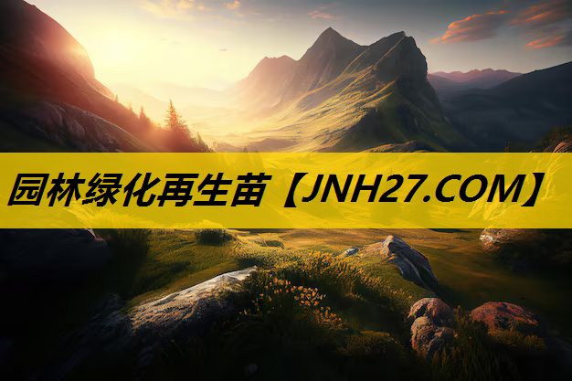 园林绿化再生苗