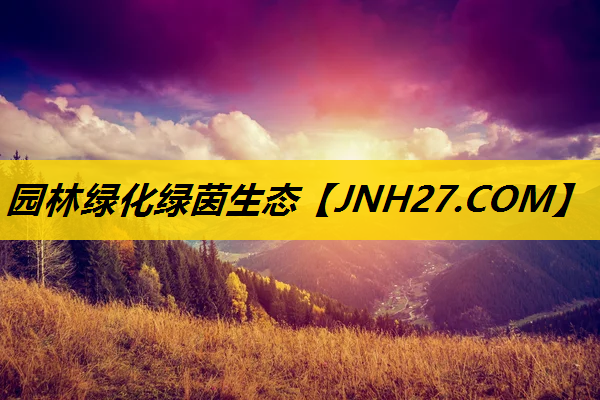 园林绿化绿茵生态