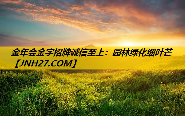 园林绿化细叶芒