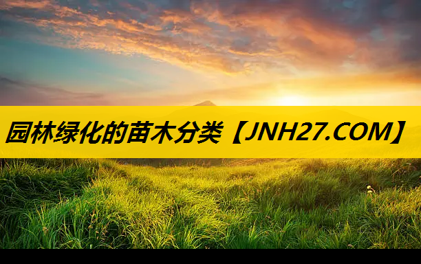 园林绿化的苗木分类