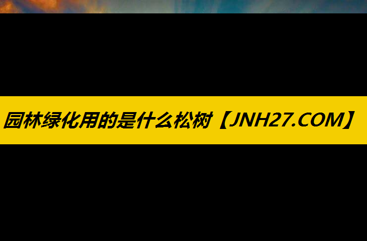 园林绿化用的是什么松树