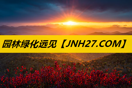 园林绿化远见